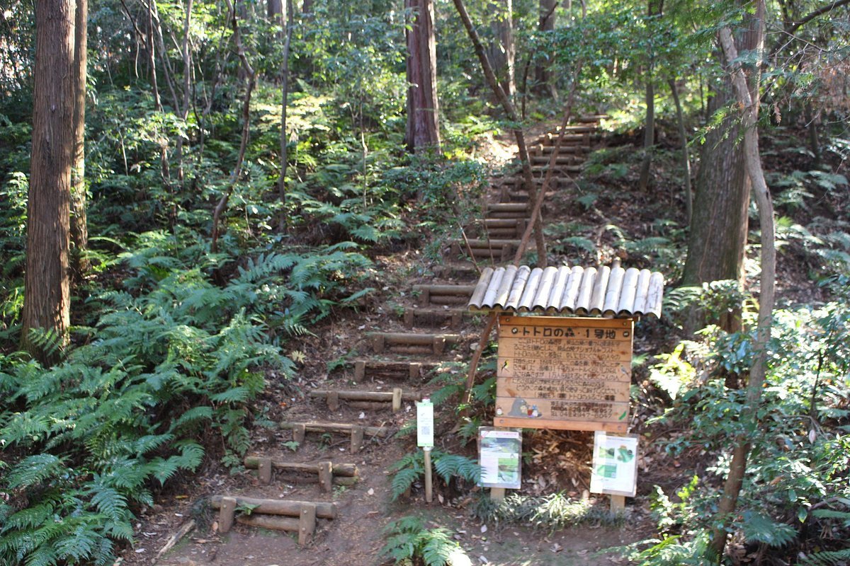 🌳 토토로의 숲 1호지 (토토로노모리 이치고우치) 이미지 1